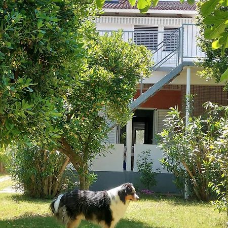 .....Und Der Hund Darf Mit Apartment ปริฟลากา ภายนอก รูปภาพ