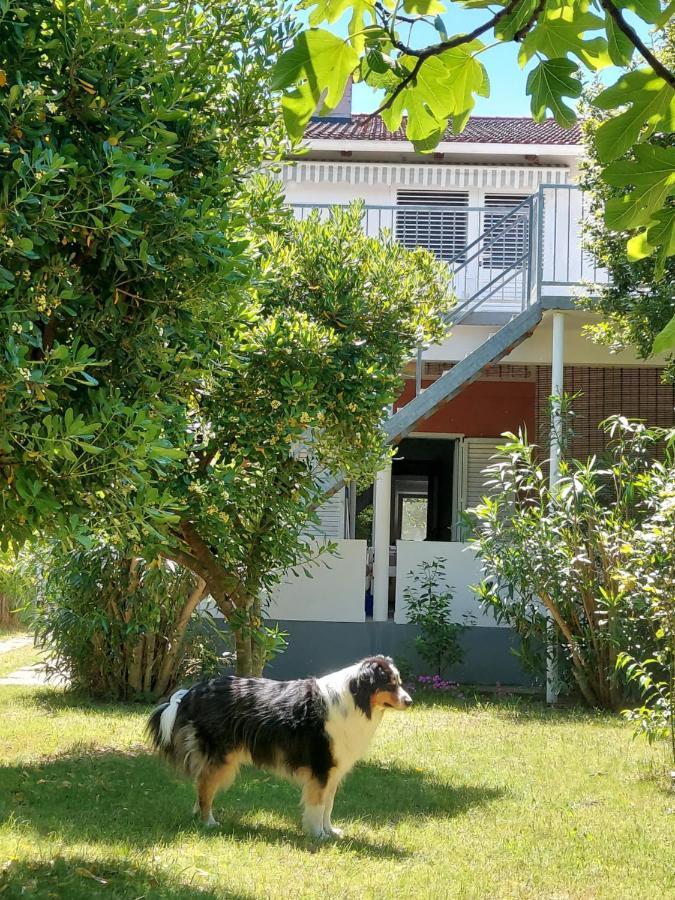 .....Und Der Hund Darf Mit Apartment ปริฟลากา ภายนอก รูปภาพ